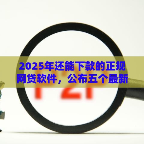 2025年还能下款的正规网贷软件，公布五个最新网贷中介平台