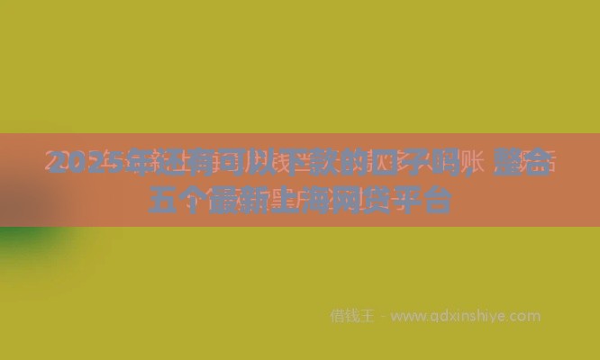 2025年还有可以下款的口子吗，整合五个最新上海网贷平台