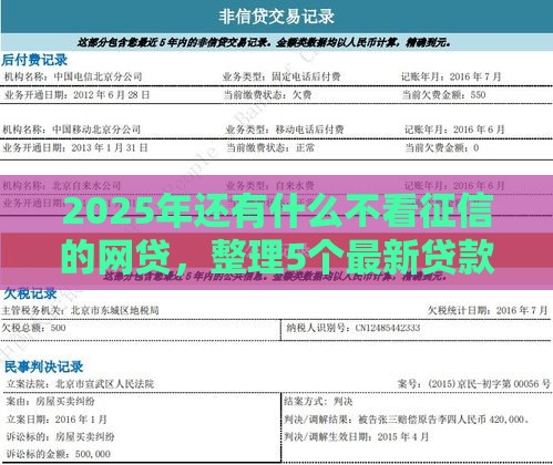 2025年还有什么不看征信的网贷，整理5个最新贷款平台都