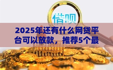 2025年还有什么网贷平台可以放款，推荐5个最新黑户贷款口子秒下的