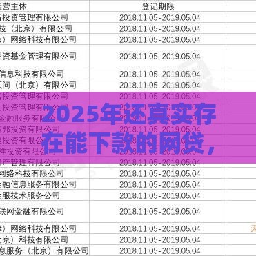 2025年还真实存在能下款的网贷，整理5个最新65岁可以借款的平台