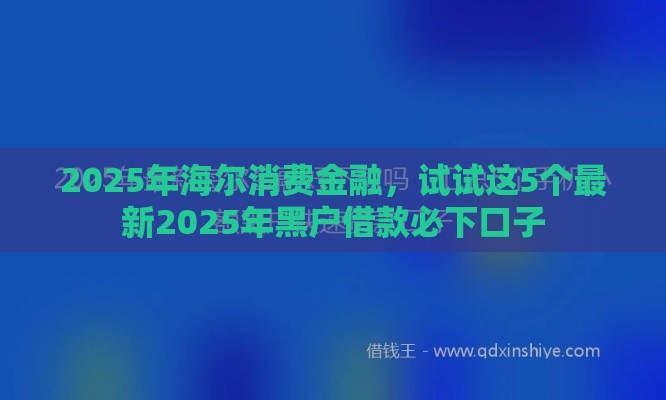 2025年海尔消费金融，试试这5个最新2025年黑户借款必下口子