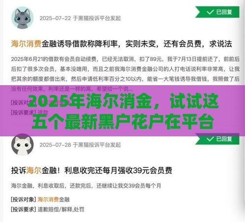 2025年海尔消金，试试这五个最新黑户花户在平台能下款