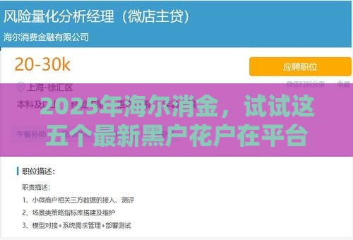 2025年海尔消金，试试这五个最新黑户花户在平台能下款