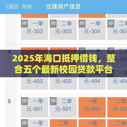 2025年海口抵押借钱,整合五个最新校园贷款平台 2025年海口抵押借钱,整合五个最新校园贷款平台