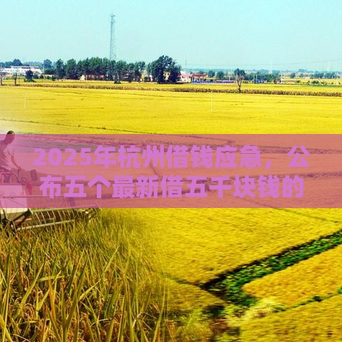 2025年杭州借钱应急，公布五个最新借五千块钱的秒下的贷款平台