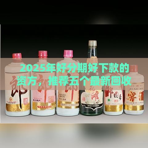 2025年好分期好下款的资方，推荐五个最新回收类贷款口子