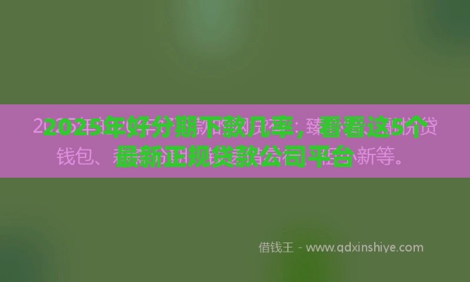 2025年好分期下款几率，看看这5个最新正规贷款公司平台