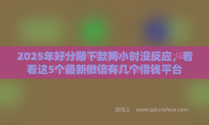 2025年好分期下款两小时没反应，看看这5个最新微信有几个借钱平台