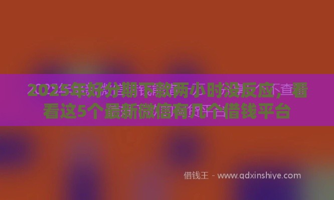 2025年好分期下款两小时没反应，看看这5个最新微信有几个借钱平台
