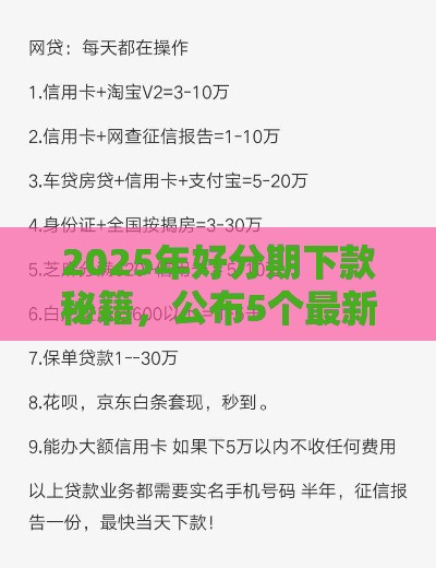 2025年好分期下款秘籍，公布5个最新黑户口子必下款