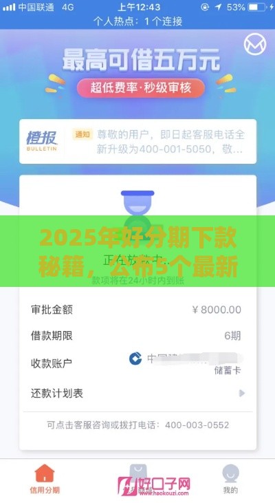 2025年好分期下款秘籍，公布5个最新黑户口子必下款