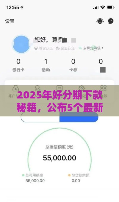 2025年好分期下款秘籍，公布5个最新黑户口子必下款