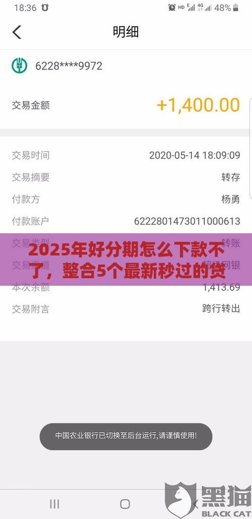 2025年好分期怎么下款不了，整合5个最新秒过的贷款平台