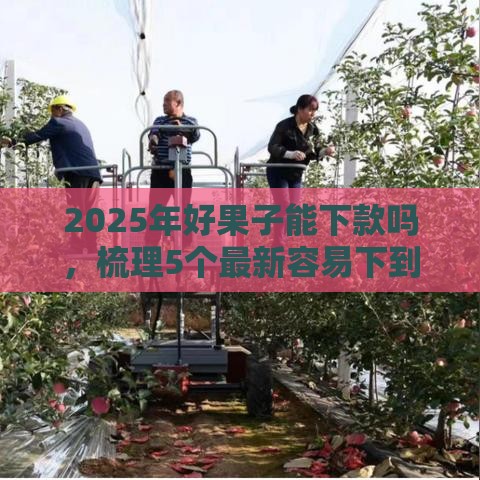 2025年好果子能下款吗,梳理5个最新容易下到款的平台 2025年好果子能下款吗,梳理5个最新容易下到款的平台