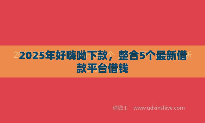 2025年好嗨呦下款，整合5个最新借款平台借钱