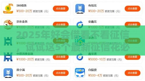 2025年好会借看不看征信，试试这5个最新征信花必过的平台