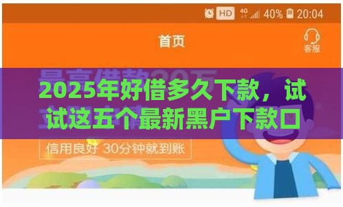 2025年好借多久下款，试试这五个最新黑户下款口子