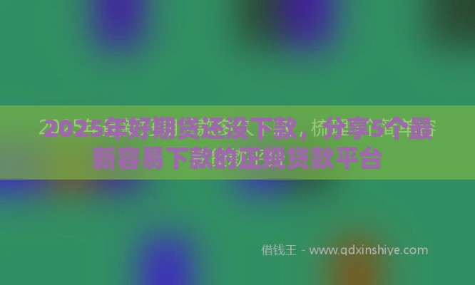 2025年好期贷还没下款，分享5个最新容易下款的正规贷款平台