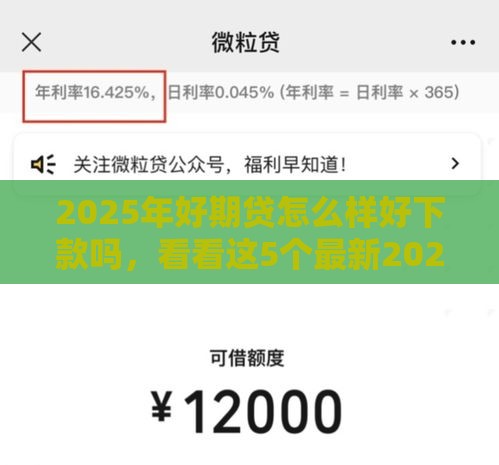 2025年好期贷怎么样好下款吗，看看这5个最新2025借钱口子必下款