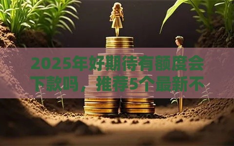 2025年好期待有额度会下款吗，推荐5个最新不看征信小贷口子
