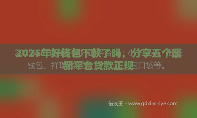 2025年好钱包下款了吗，分享五个最新平台贷款正规