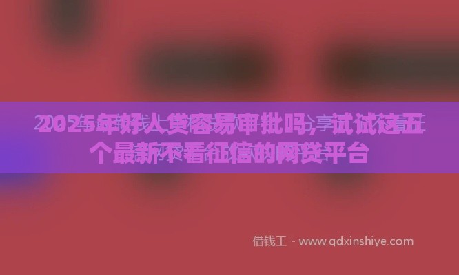 2025年好人贷容易审批吗，试试这五个最新不看征信的网贷平台