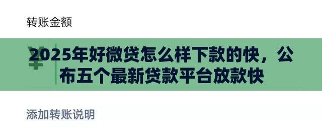 2025年好微贷怎么样下款的快，公布五个最新贷款平台放款快