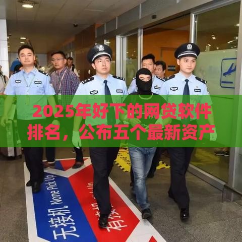 2025年好下的网贷软件排名，公布五个最新资产包口子