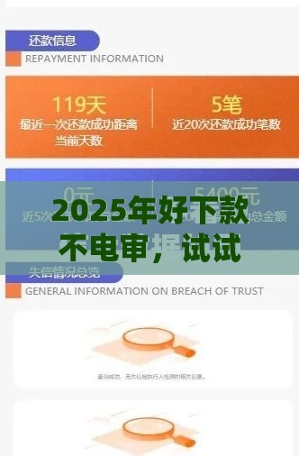 2025年好下款不电审，试试这五个最新投诉网贷平台