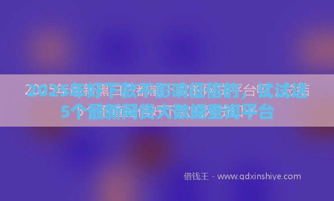 2025年好下款不影响征信的,试试这5个最新网贷大数据查询平台 2025年好下款不影响征信的,试试这5个最新网贷大数据查询平台