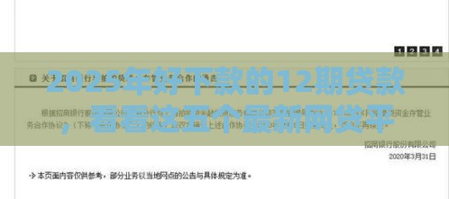 2025年好下款的12期贷款，看看这五个最新网贷平台举报