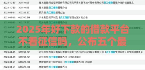 2025年好下款的借款平台不看征信吗，公布五个最新贷款额度高的平台