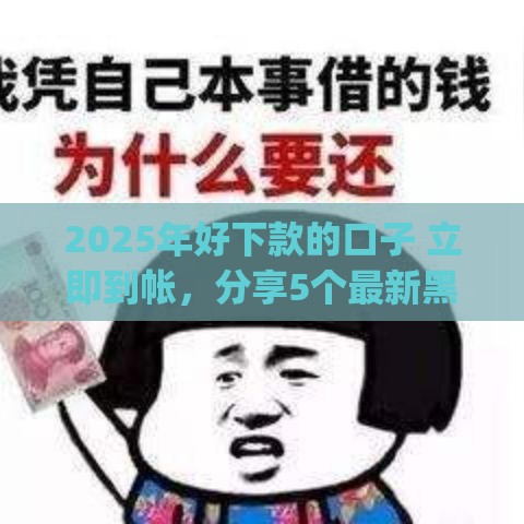 2025年好下款的口子 立即到帐，分享5个最新黑户能下款的app口子