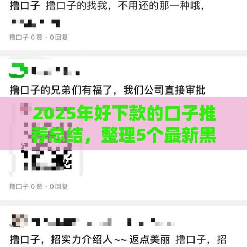 2025年好下款的口子推荐总结，整理5个最新黑户必下的口子