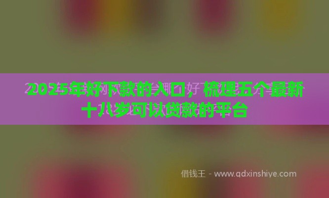 2025年好下款的入口，梳理五个最新十八岁可以贷款的平台