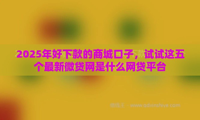 2025年好下款的商城口子，试试这五个最新微贷网是什么网贷平台
