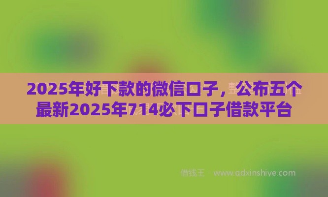 2025年好下款的微信口子，公布五个最新2025年714必下口子借款平台