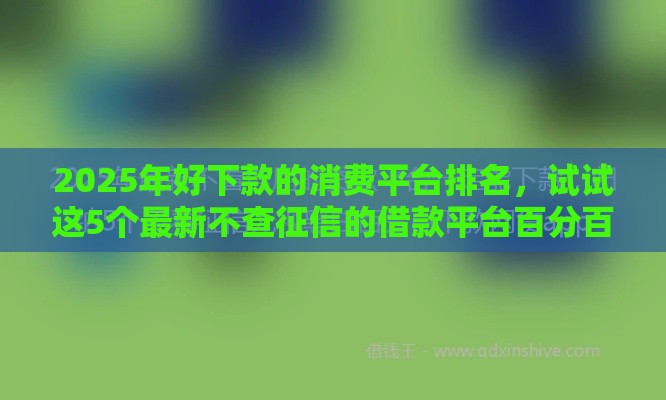 2025年好下款的消费平台排名,试试这5个最新不查征信的借款平台百分百通过 2025年好下款的消费平台排名,试试这5个最新不查征信的借款平台百分百通过