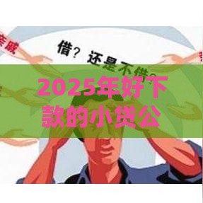 2025年好下款的小贷公司排名，梳理5个最新网上平台借钱靠谱