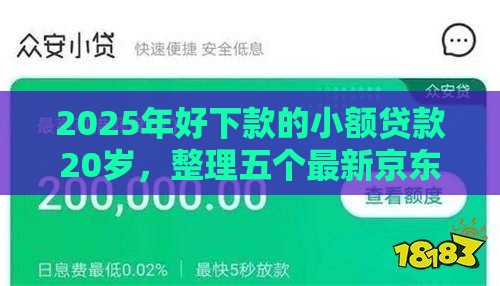 2025年好下款的小额贷款20岁，整理五个最新京东借钱平台
