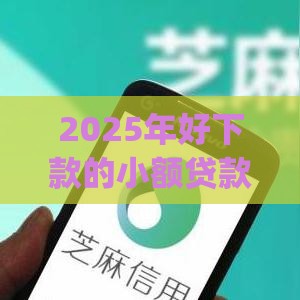 2025年好下款的小额贷款app，整理五个最新2025不查征信大数据百分百下款的平台