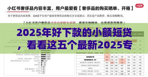 2025年好下款的小额短贷，看看这五个最新2025专门给花户放款的平台