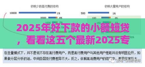 2025年好下款的小额短贷，看看这五个最新2025专门给花户放款的平台