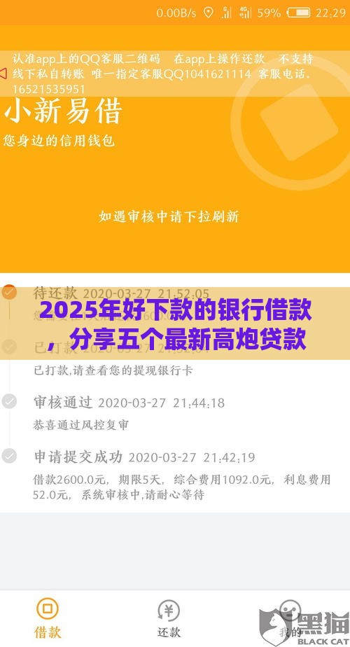 2025年好下款的银行借款，分享五个最新高炮贷款平台