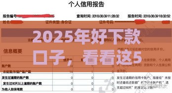 2025年好下款口子，看看这5个最新贷款平台不看征信不看逾期