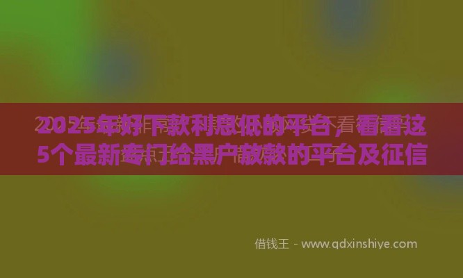 2025年好下款利息低的平台，看看这5个最新专门给黑户放款的平台及征信呆账相关