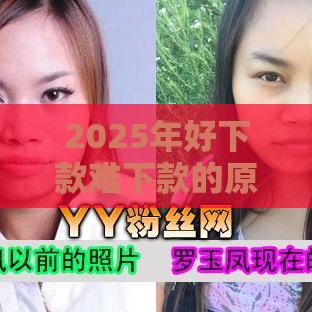 2025年好下款难下款的原因,分享5个最新黑户短期贷口子 2025年好下款难下款的原因,分享5个最新黑户短期贷口子