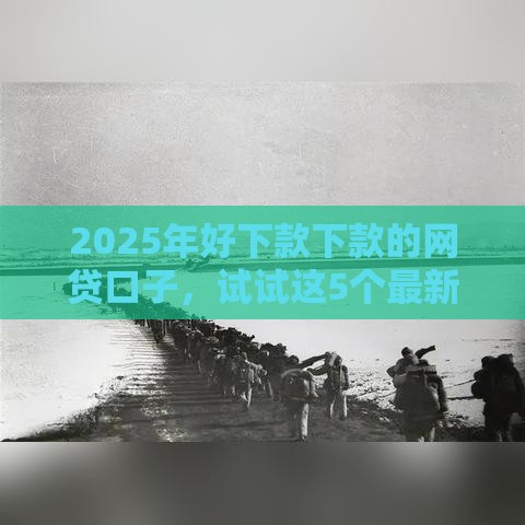 2025年好下款下款的网贷口子，试试这5个最新综合评估未通过平台可以借钱