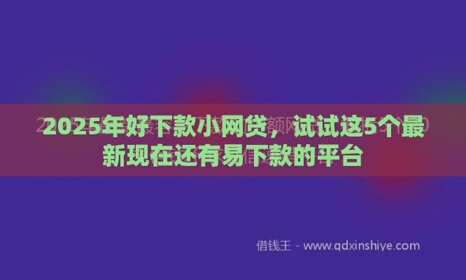 2025年好下款小网贷，试试这5个最新现在还有易下款的平台